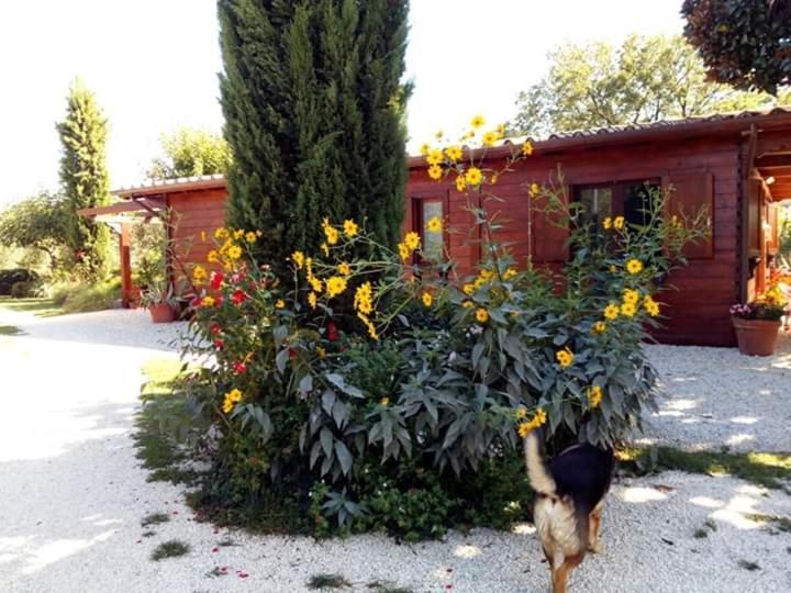 Il Casale Di Rosaria Hotel Zagarolo Exterior photo